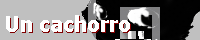lano.png